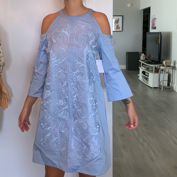 baby blue embroidered dress